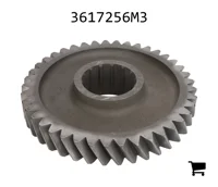 AGCO 3617256M3 Ведущая шестерня