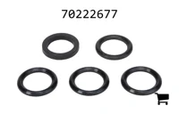 AGCO 70222677 Комплект сальников