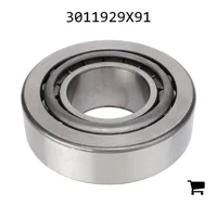 AGCO 3011929X91 Подшипниковый узел