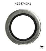 AGCO 4224747M1 Шайба