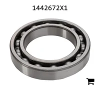 AGCO 1442672X1 Подшипник 6016