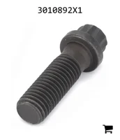 AGCO 3010892X1 Винт с 12-гранной фланцевой головкой