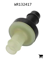 AGCO WR132417 Обратный клапан