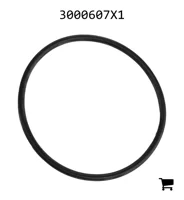 AGCO 3000607X1 Уплотнительное кольцо