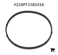 AGCO H218PF150241A Прокладка