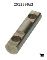 AGCO 2512590W2 Ось поворота