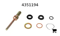 AGCO 4351194 Ремонтный комплект