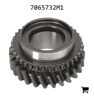 AGCO 7065732M1 Косозубая шестерня