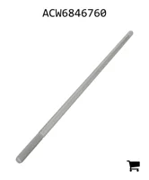 AGCO ACW6846760 Болт
