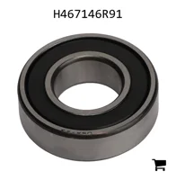 AGCO H467146R91 Цилиндрический шариковый подшипник