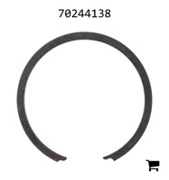 AGCO 70244138 Кольцо