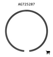 AGCO AG725287 Уплотнение