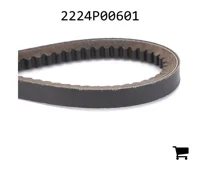 AGCO 2224P00601 Ремень клиновой
