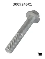 AGCO 3009245X1 Болт с шестигранной головкой и фланцем