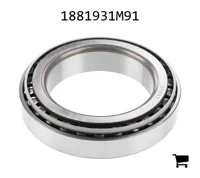 AGCO 1881931M91 Конический роликовый подшипниковый узел