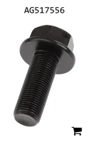 AGCO AG517556 Болт с шестигранной головкой и фланцем