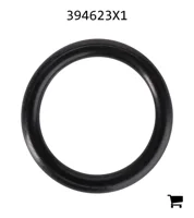 AGCO 394623X1 Уплотнительное кольцо