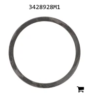 AGCO 3428928M1 Шайба