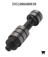 AGCO 395100600030 Поршень