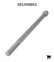 AGCO 3014980X1 Винт с 12-гранной головкой с фланцем