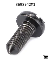 AGCO 3698942M1 Винт