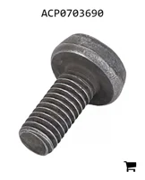 AGCO ACP0703690 Винт с круглой головкой