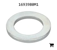 AGCO 1693980M1 Шайба