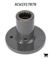 AGCO ACW1917070 Ступица внутренняя