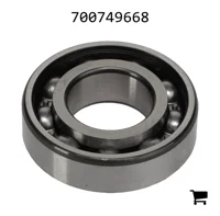 AGCO 700749668 Цилиндрический подшипник