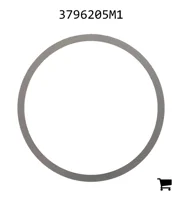 AGCO 3796205M1 Шайба