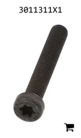 AGCO 3011311X1 Винт с потайной головкой