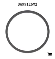 AGCO 3699126M2 Сальник входного вала