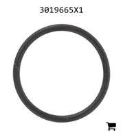 AGCO 3019665X1 Уплотнительное кольцо Ø 19,10 x 1,60 мм