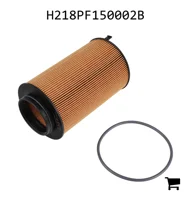 AGCO H218PF150002B Масляный фильтр двигателя
