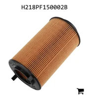 AGCO H218PF150002B Масляный фильтр двигателя