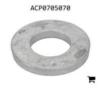 AGCO ACP0705070 Шайба