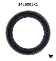 AGCO 3429002X1 Уплотнение бортовой передачи