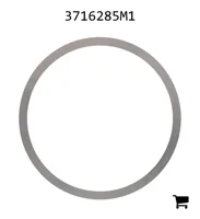 AGCO 3716285M1 Шайба