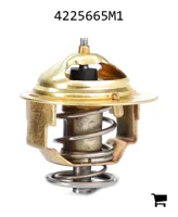 AGCO 4225665M1 Термостат