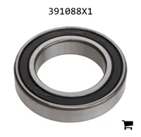 AGCO 391088X1 Цилиндрический шариковый подшипник