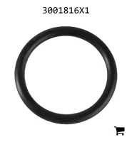 AGCO 3001816X1 Уплотнительное кольцо