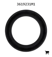 AGCO 3619231M1 Сальник