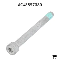 AGCO ACW8857080 Болт