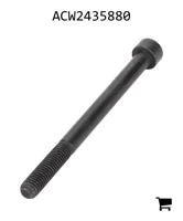 AGCO ACW2435880 Винт Torx