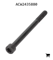 AGCO ACW2435880 Винт Torx