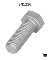 AGCO SN1220 Болт с шестигранной головкой