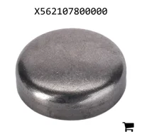 AGCO X562107800000 Заглушка блока цилиндров