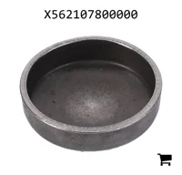 AGCO X562107800000 Заглушка блока цилиндров