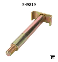 AGCO SN9819 Болт