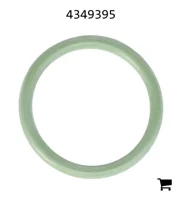 AGCO 4349395 Уплотнительное кольцо